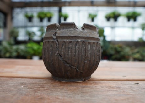 保田修作  pot No.24