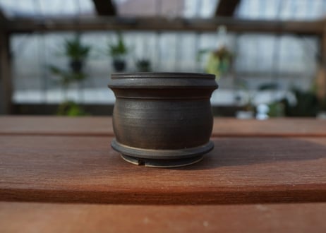 保田修作  pot No.10