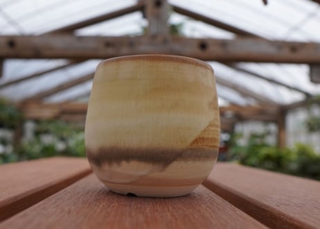 關まどか pot NO.32-2　Ｇ