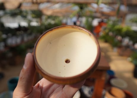 關まどか pot NO.20-1　Ｇ