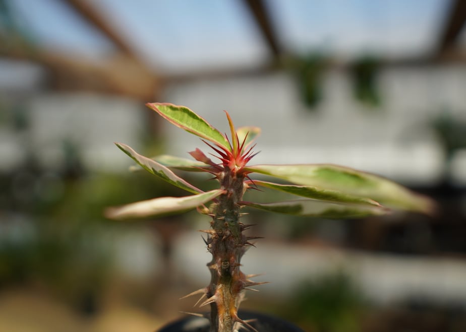 65b1efe4ea3b83002d05610f