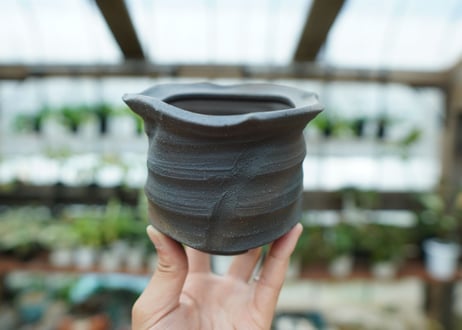 沼野秀章 pot No.8