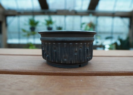 保田修作  pot No.48