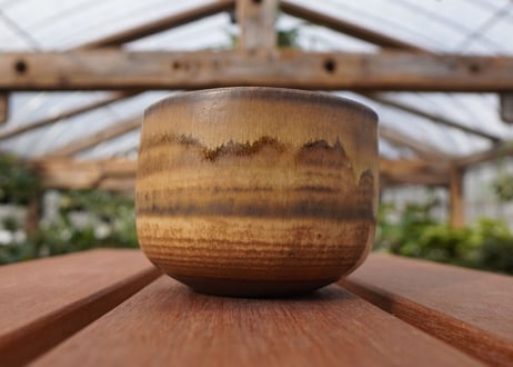 關まどか pot NO.21-5　F