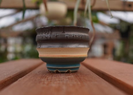 持木祐一pot NO.6