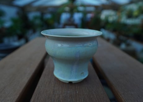 持木祐一 pot  No.38