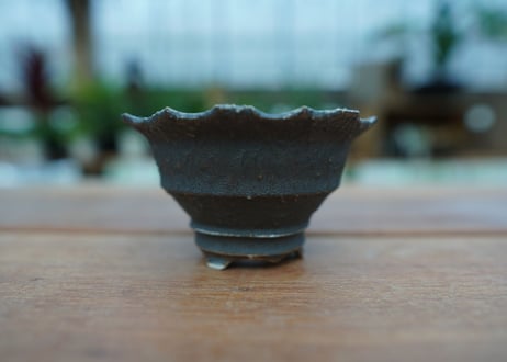 Muddy Punk pot No.5
