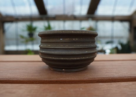保田修作  pot No.26