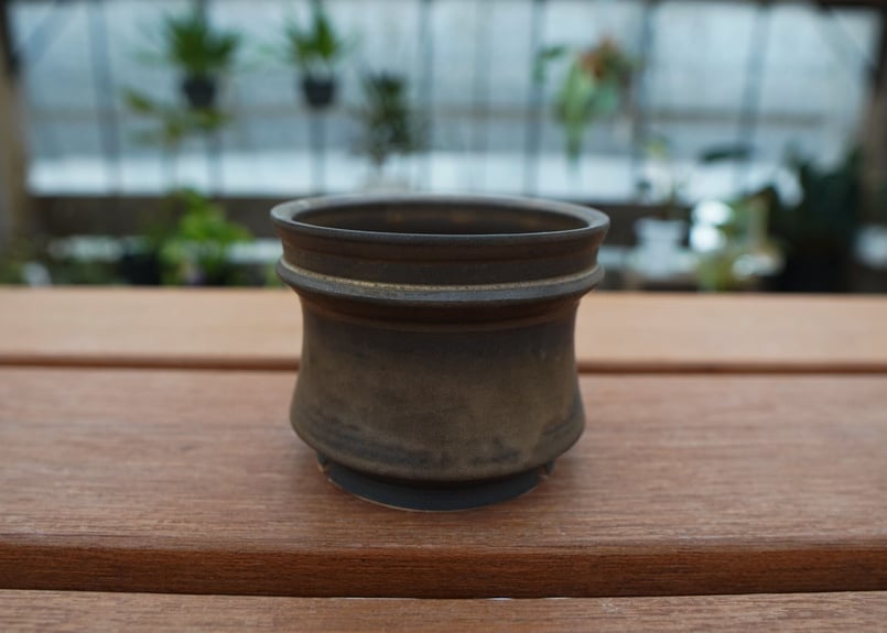 保田修作 pot No.22 | mana's farm:塊根植物・アガベ・ドライガーデン植