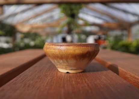 關まどか pot NO.20-1　Ｇ