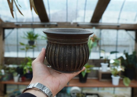 保田修作  pot No.52