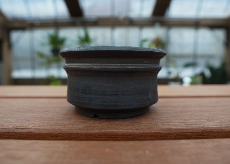 保田修作 pot No.17 | mana's farm:塊根植物・アガベ・ドライガーデン植