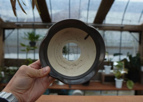 保田修作  pot No.25