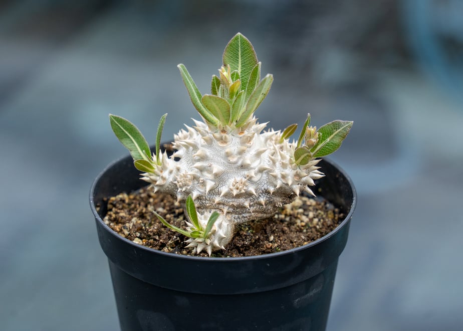 67ee08232d2599347d8f60ec