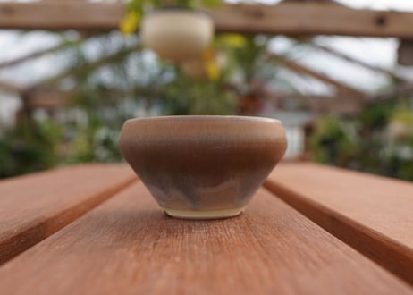 關まどか pot NO.4-3