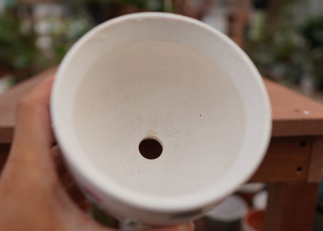 持木祐一pot NO.9