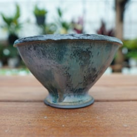 神田知広氏の鉢が再入荷しました。 | mana's farm:塊根植物・アガベ