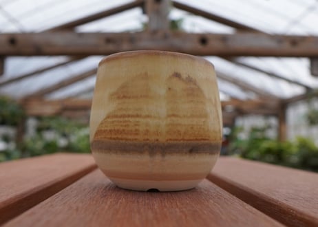 關まどか pot NO.32-2　Ｇ