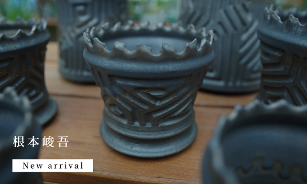 グラキリス現地球　根本峻吾鉢付き グラキリス現地球 根本峻吾鉢付き 塊根植物 コーデックス グラキリス