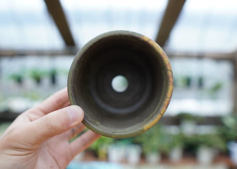 hechicami pot NO.16