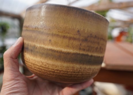 關まどか pot NO.21-5　F