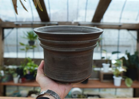 保田修作  pot No.61