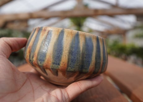 關まどか pot NO.23-2　Ｇ
