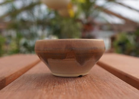 關まどか pot NO.1