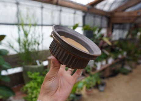保田修作  pot No.14