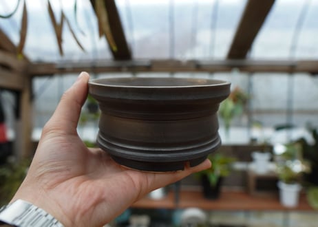 保田修作  pot No.15