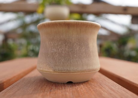 關まどか pot NO.5-2　Ｇ