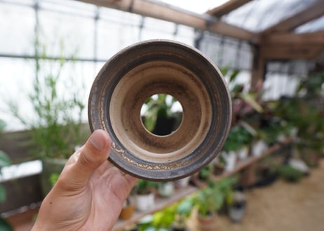 保田修作  pot No.17