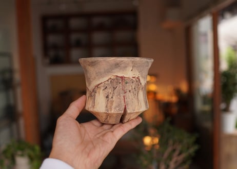 沼野秀章 pot No.19