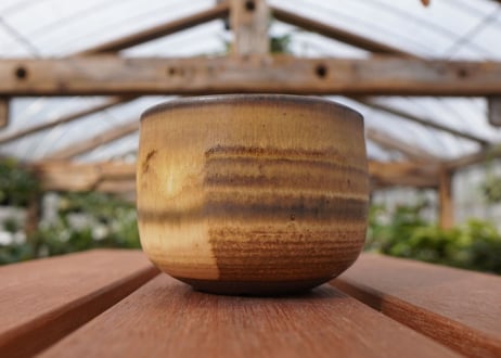 關まどか pot NO.21-5　F
