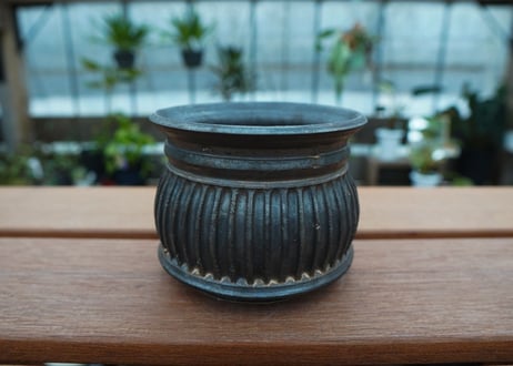 保田修作  pot No.64