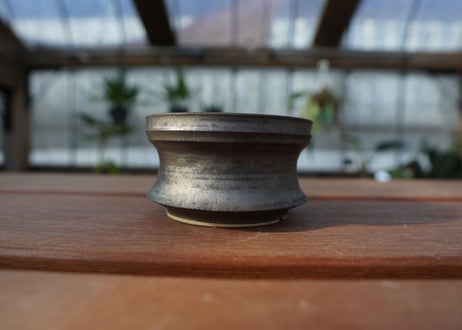 保田修作  pot No.5