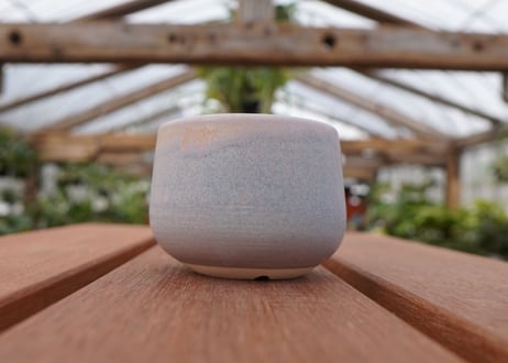 關まどか pot NO.27-2　Ｇ
