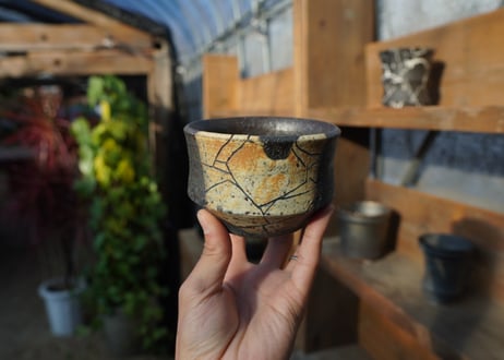 hechicami pot No.13