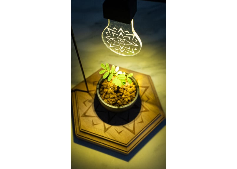 mana's farm original “王座台” 50台限定 | mana's farm: