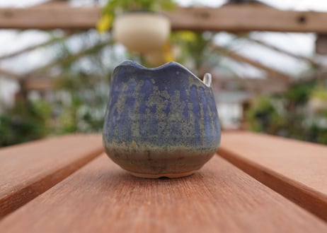 關まどか pot NO.3-2　F