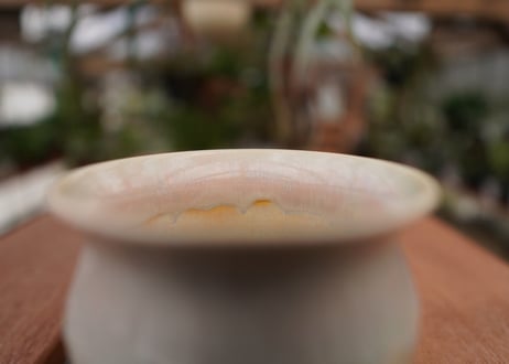持木祐一pot NO.12