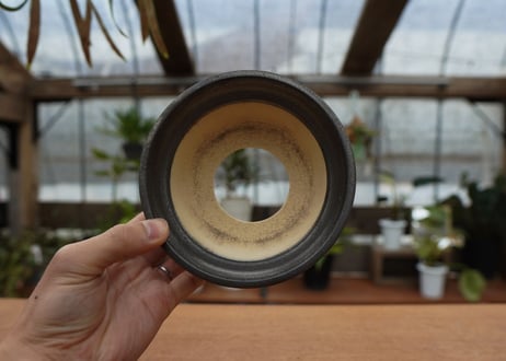 保田修作  pot No.30