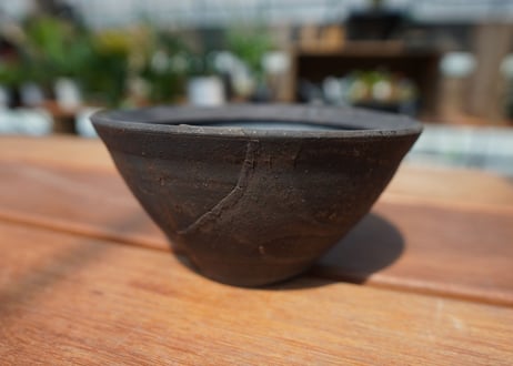 沼野秀章 pot No.2