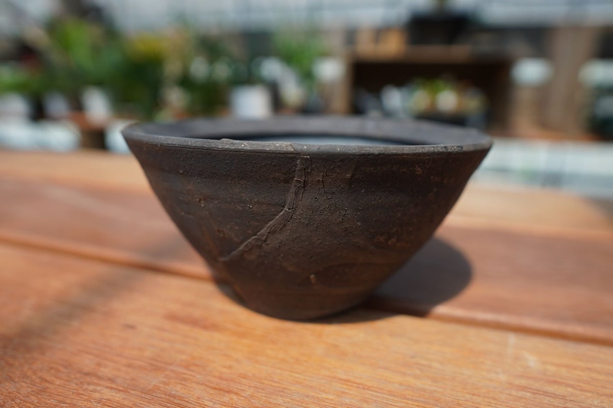沼野 秀章 / 黒二白 新品未使用 鉢 アガベ 沼野 秀章 / 黒二白 / M / nh2_bwh12_m/ 約φ13.2cm / 植木鉢 – ハチラボ