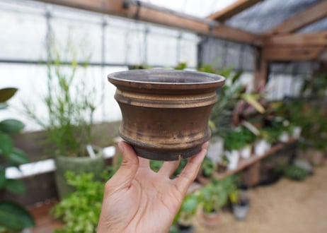 保田修作  pot No.3