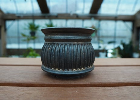 保田修作  pot No.64