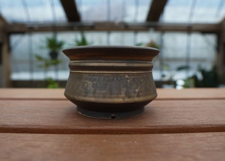 保田修作  pot No.31