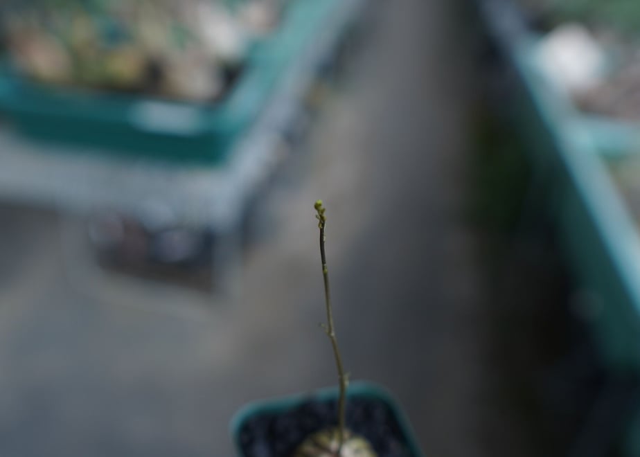 64ce07d559c112007a9a50de