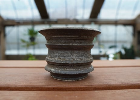 保田修作  pot No.24