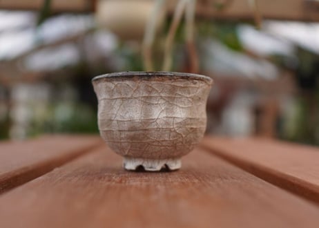 持木祐一pot NO.8